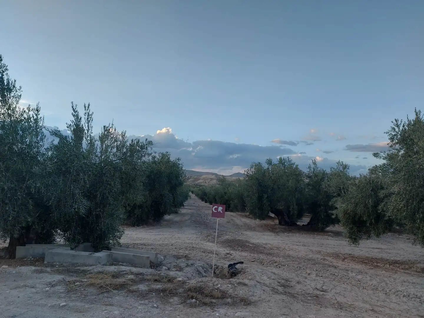 Vista exterior de Terreno en venta en Alicún de Ortega