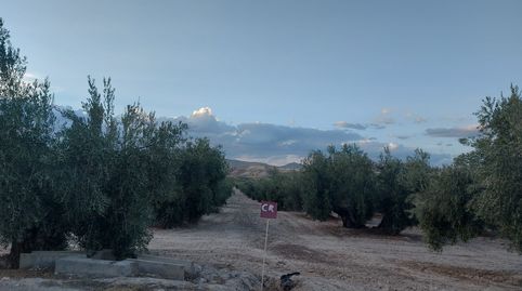 Photo 4 of Land for sale in Calle la Huerta, Alicún de Ortega, Granada