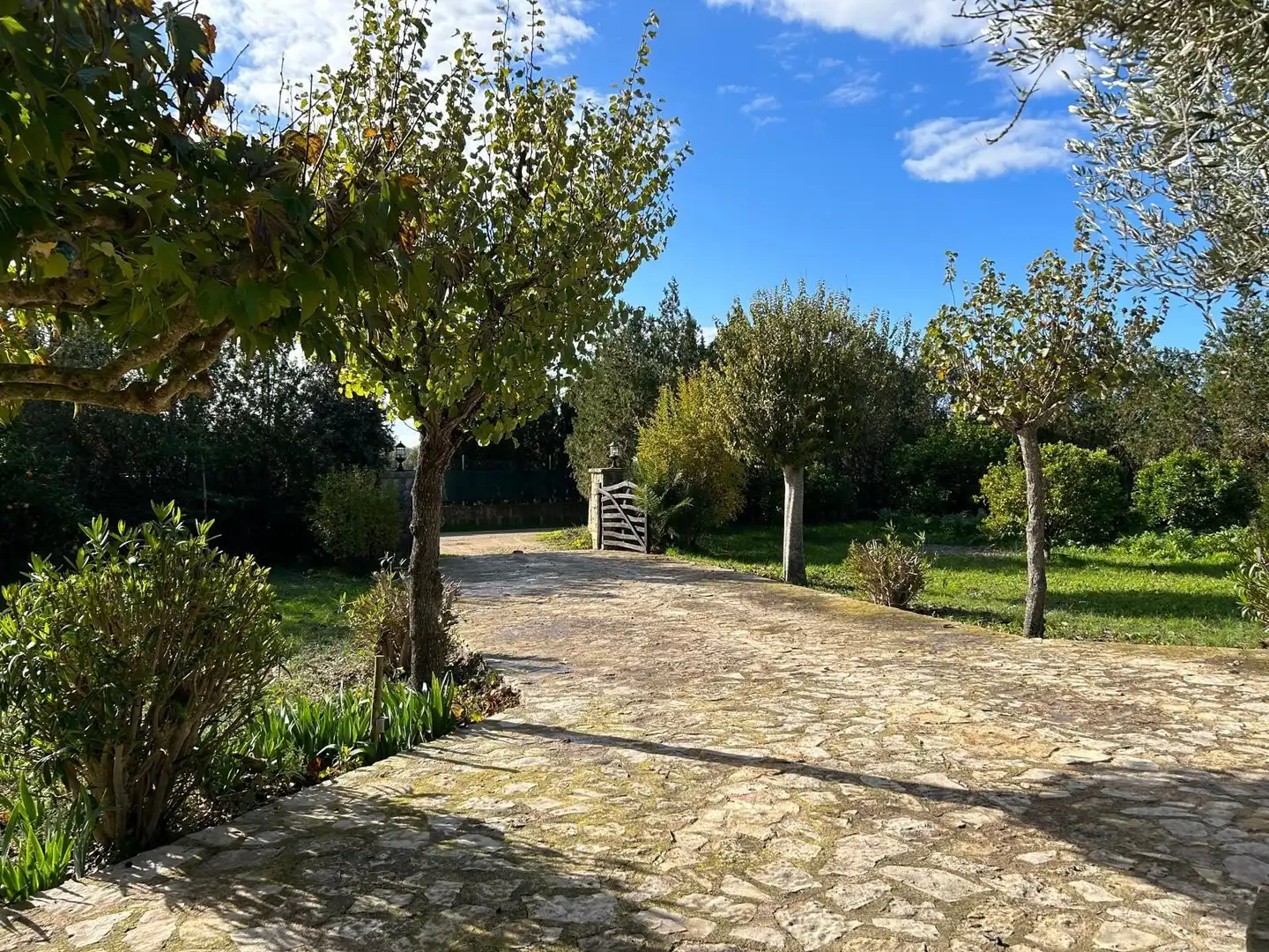 Jardí de Finca rústica en venda en Montuïri