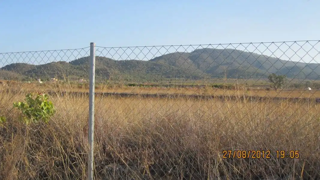 Terreny residencial en venda a Monóvar  / Monòver, imagen 13