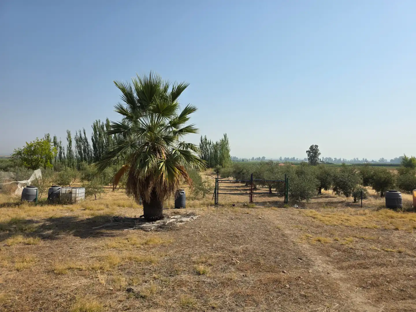 Chalet con jardín en venta en Villanueva de la Serena, imagen 23
