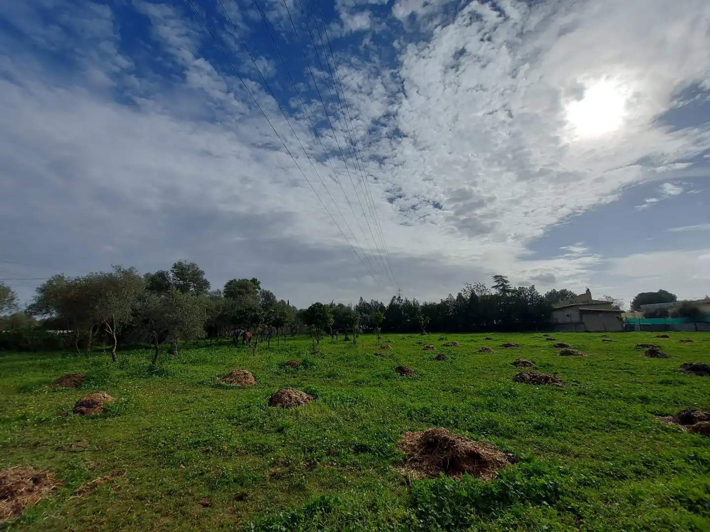 Casa o xalet en venda en Dos Hermanas amb Terrassa, Piscina i Moblat