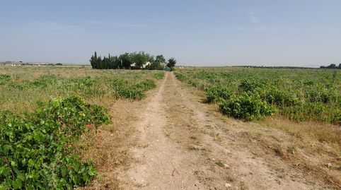 Finca Rúst. en venta en Carrion De Calatrava., imagen 2