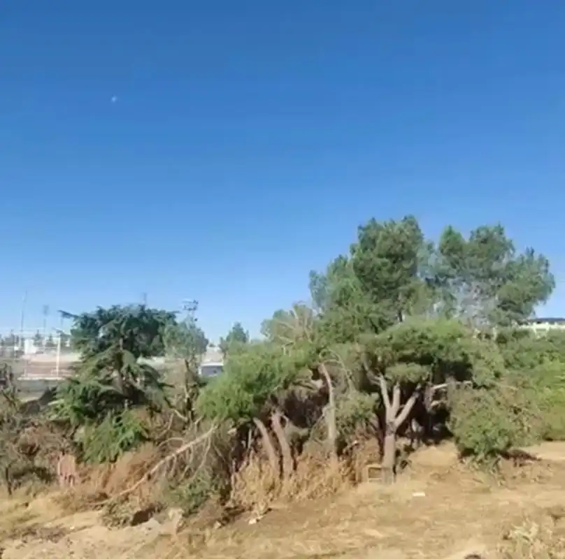 Terreny residencial en venda a Camino Huerto, imagen 3