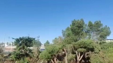 Foto 3 de Residencial en venda a Camino Huerto, Zona Monte El Pilar, Majadahonda