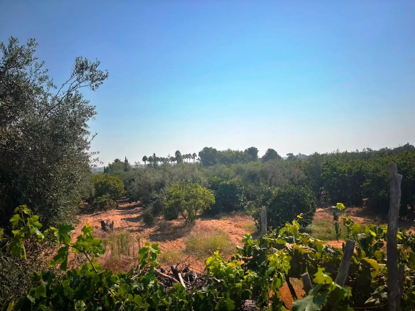 Finca rústica en venda en Huévar del Aljarafe amb Jardí privat, Traster i Piscina
