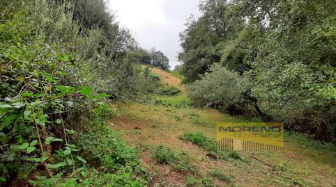 FINCA RÚSTICA, Bild 3