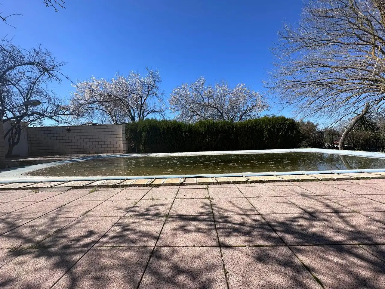 Piscina de Casa o chalet en venta en Puebla de Sancho Pérez