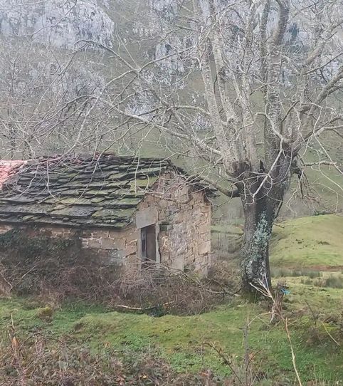 Foto 2 de Piso en venta en Barrio Noja, 1035, Miera, Cantabria