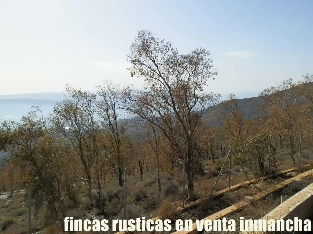 Terreny rústic en venda a Pechina, imagen 12