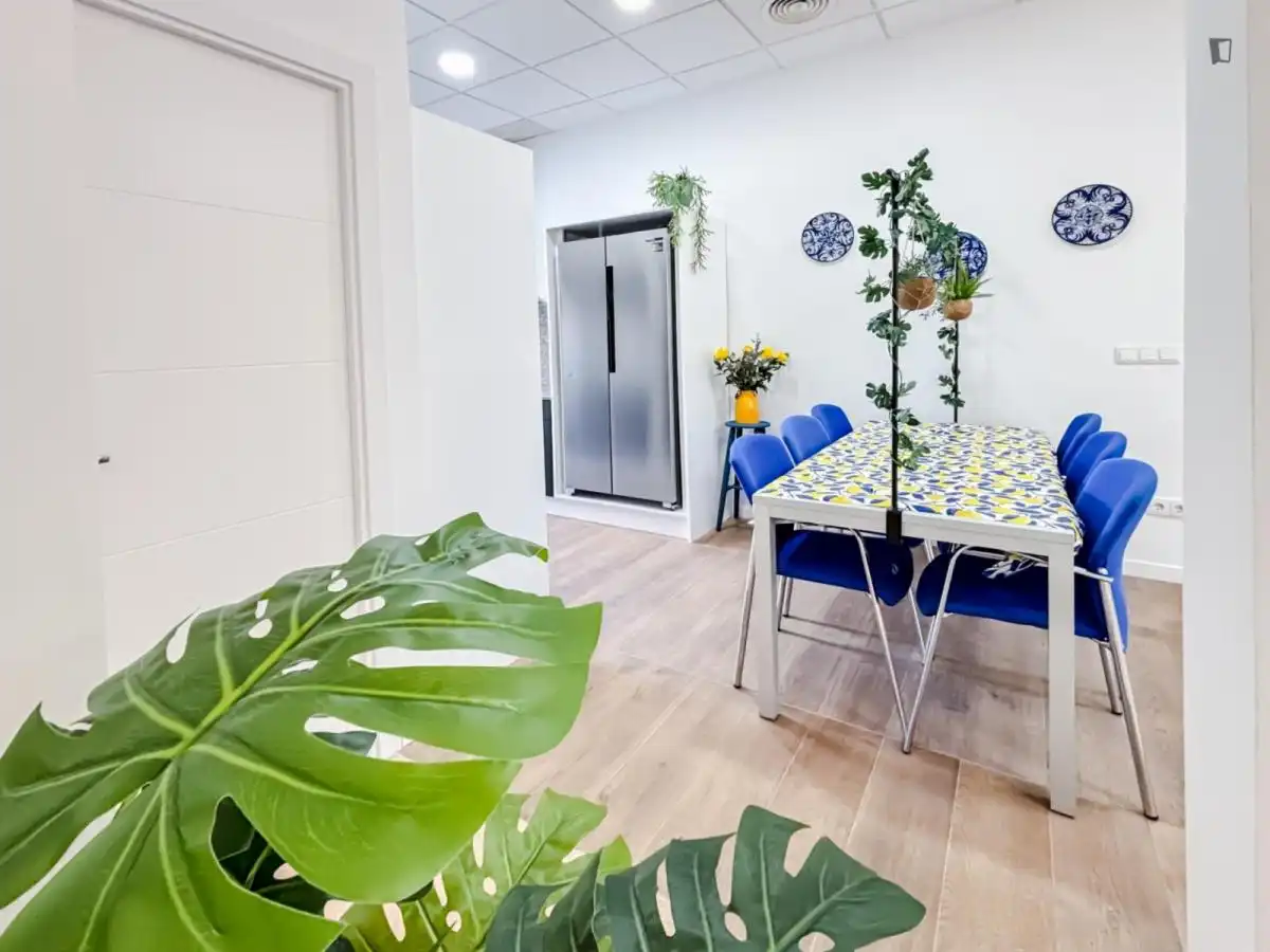 Room in Sol y Luz