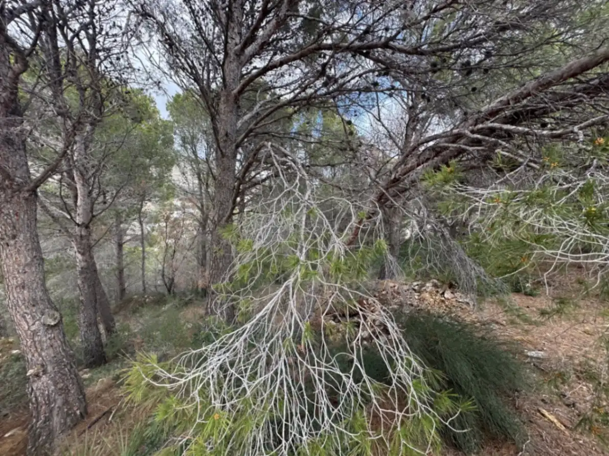 Residential land for sale in Altea Hills, imagen 4