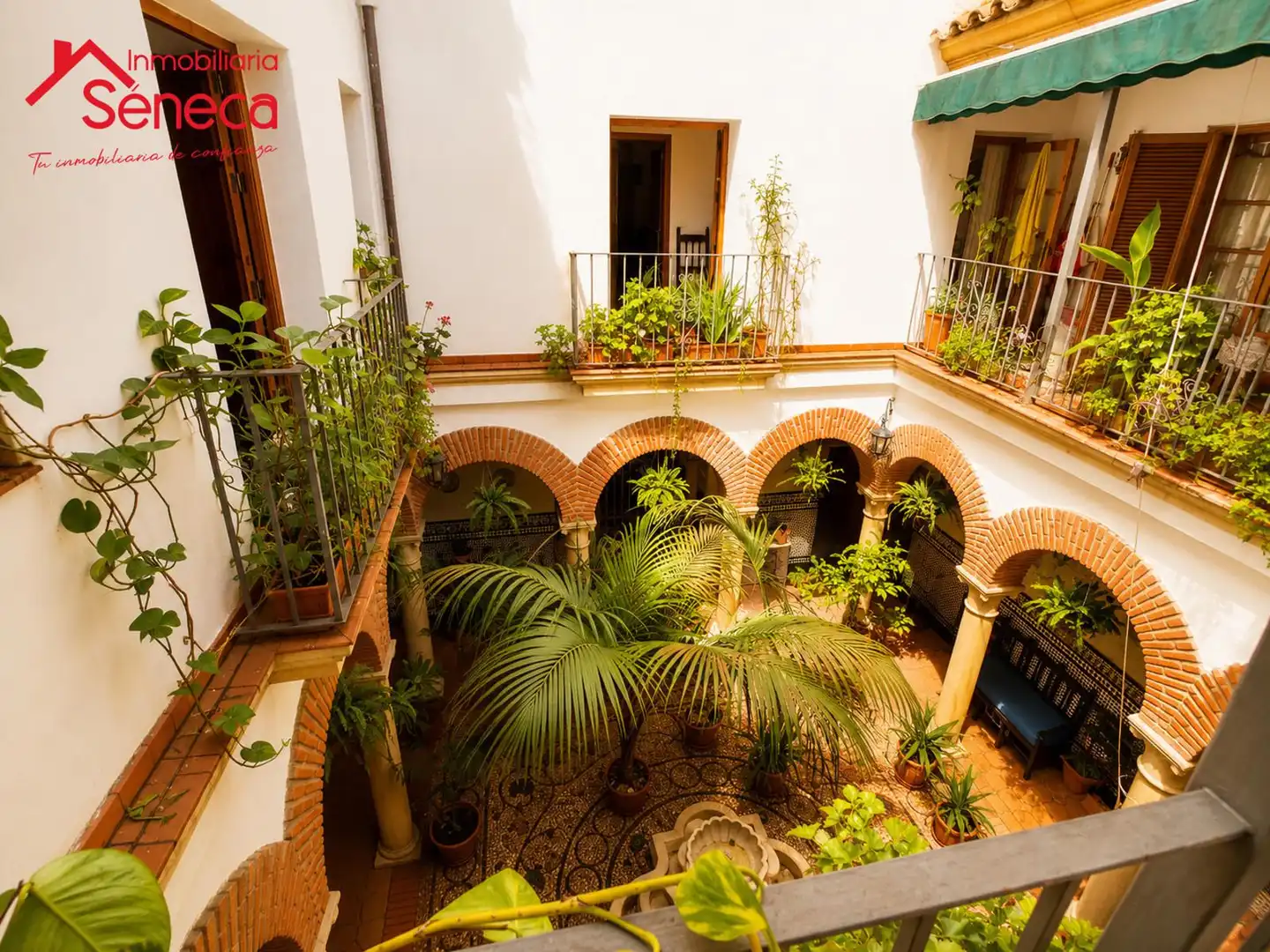 Jardí de Casa o xalet en venda en Córdoba amb Traster i Piscina