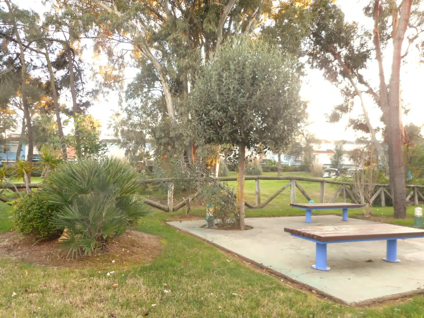 Jardí de Casa o xalet en venda en Islantilla amb Terrassa, Traster i Rentadora