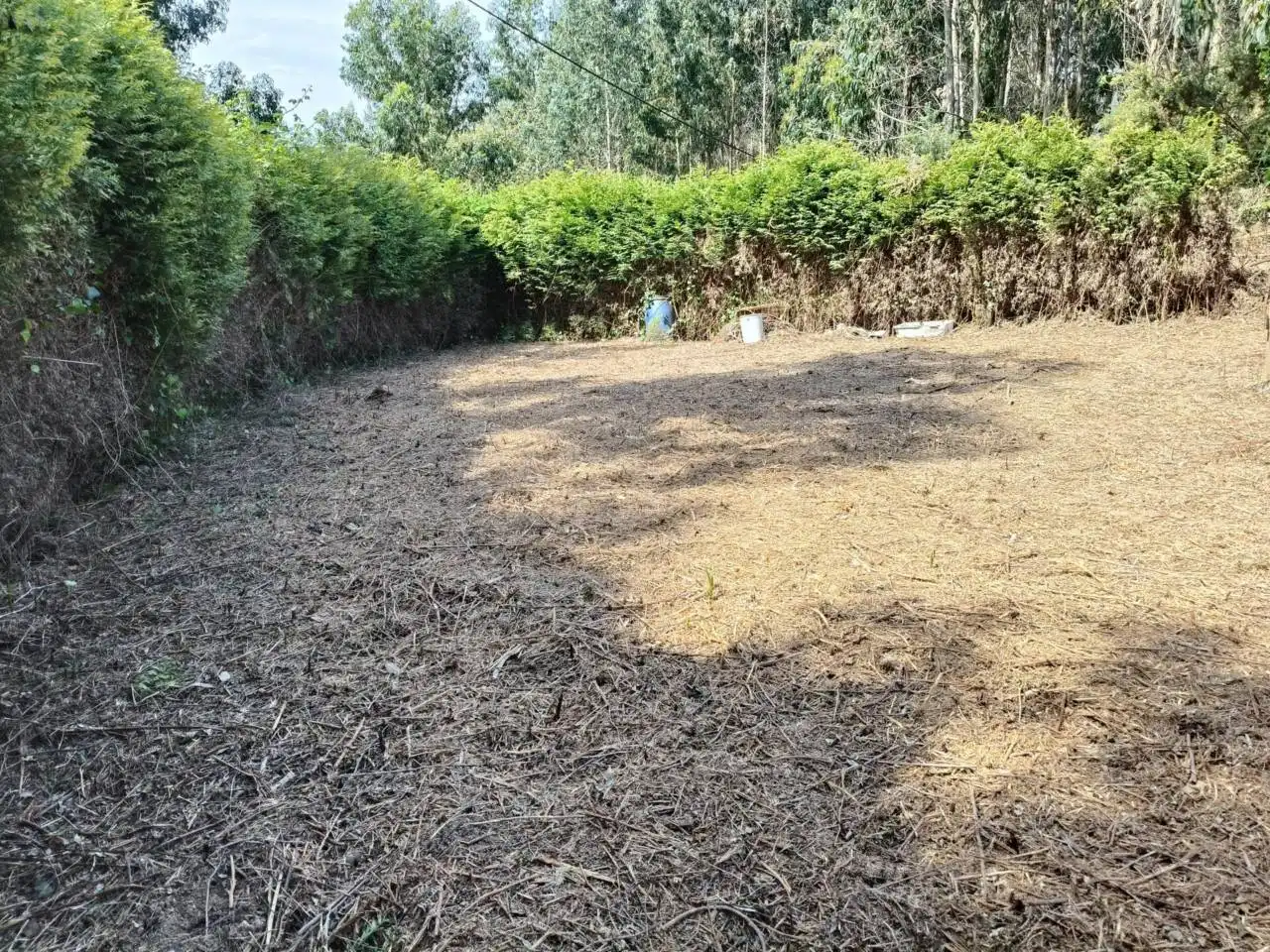 Terreno rústico en venta en Calle FIGUEIROA, imagen 3
