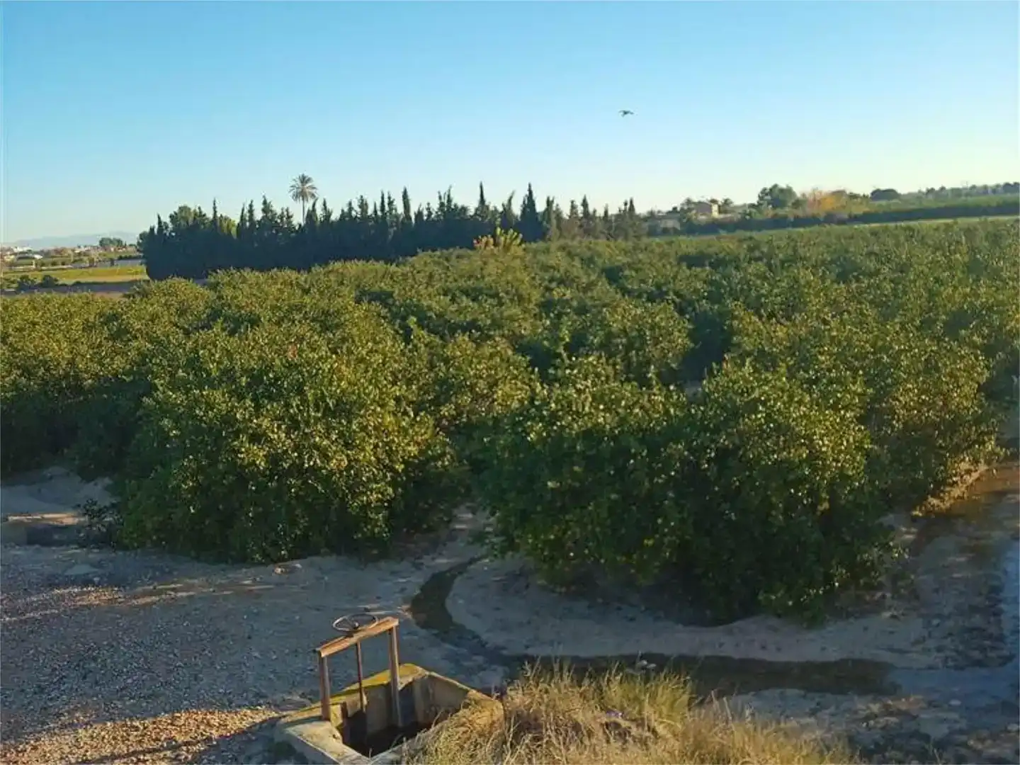 Terreno en venta en Orihuela