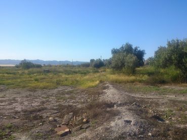 Terreny residencial en venda a TORRECILLA