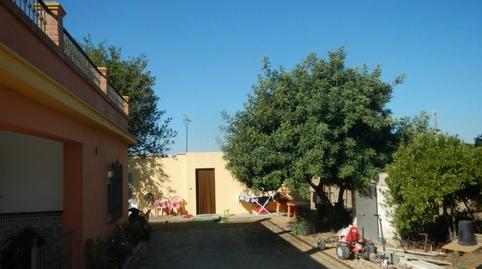 Foto 2 de Finca rústica en venda a Monteolivete - Camino Sevilla, Sanlúcar de Barrameda