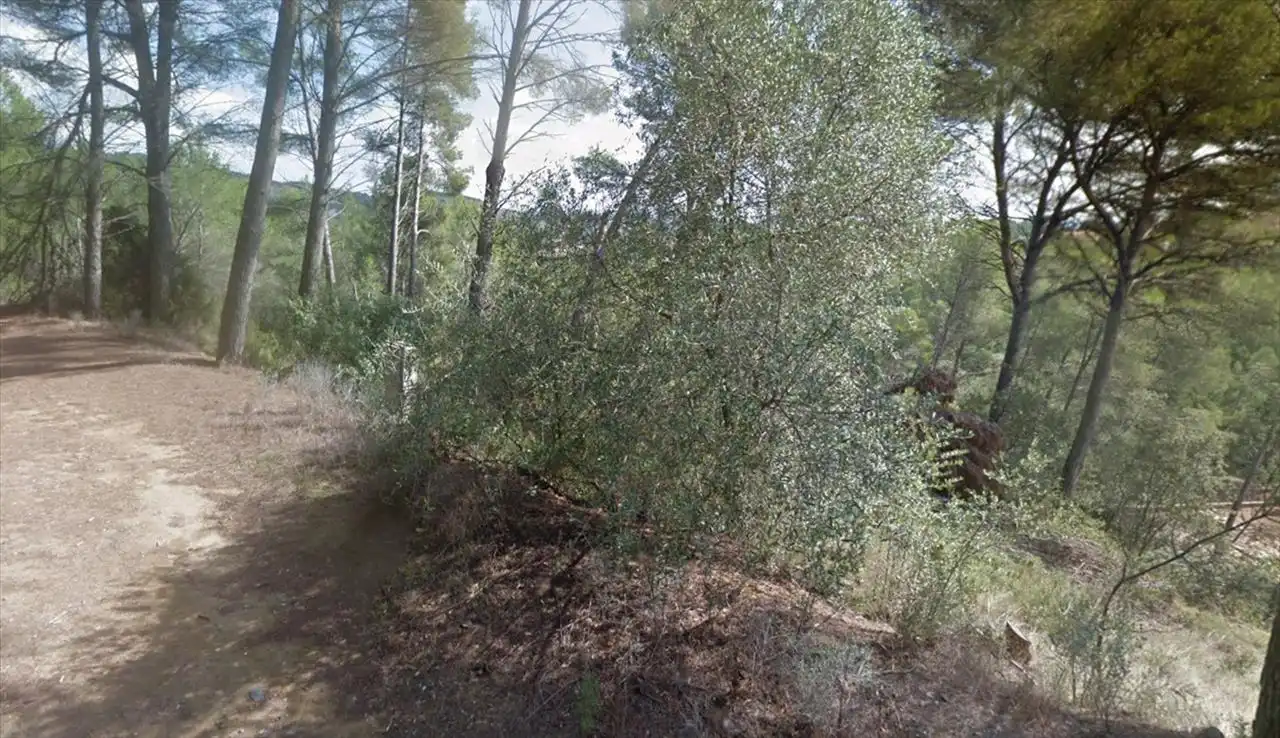Terreno residenziale in vendita a Vallesa, imagen 21