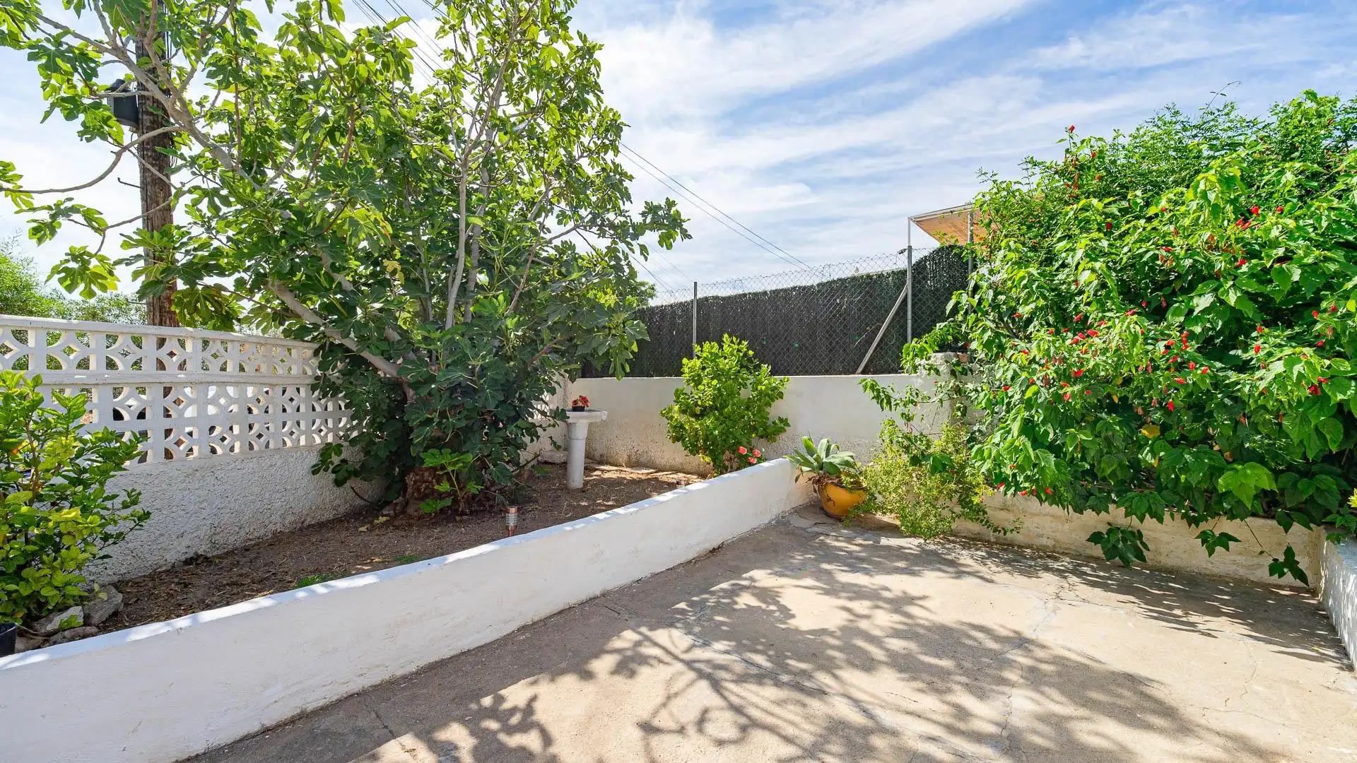 Jardín de Casa o chalet en venta en Torrevieja con Jardín privado, Terraza y Trastero
