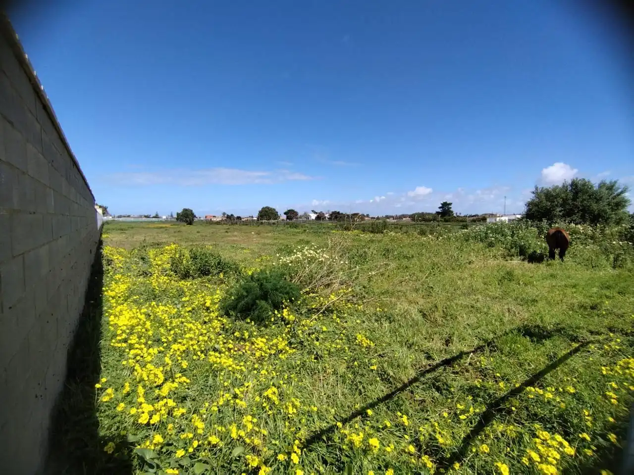 Rustikales Grundstück zum Verkauf in De La Reyerta, imagen 5