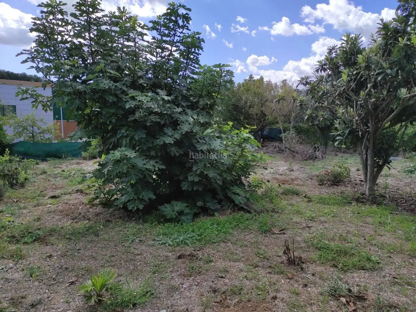 Terreny residencial en venda a Avinguda Pau Casals 150, imagen 4