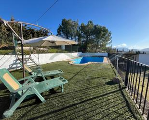 Swimming pool of Country house for sale in Ronda