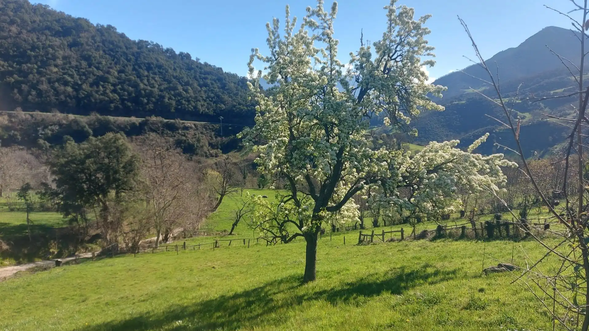 Terreni e lotti in vendita a Camaleño, imagen 2