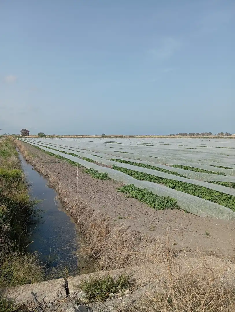 Rural land for sale in N/A, imagen 14