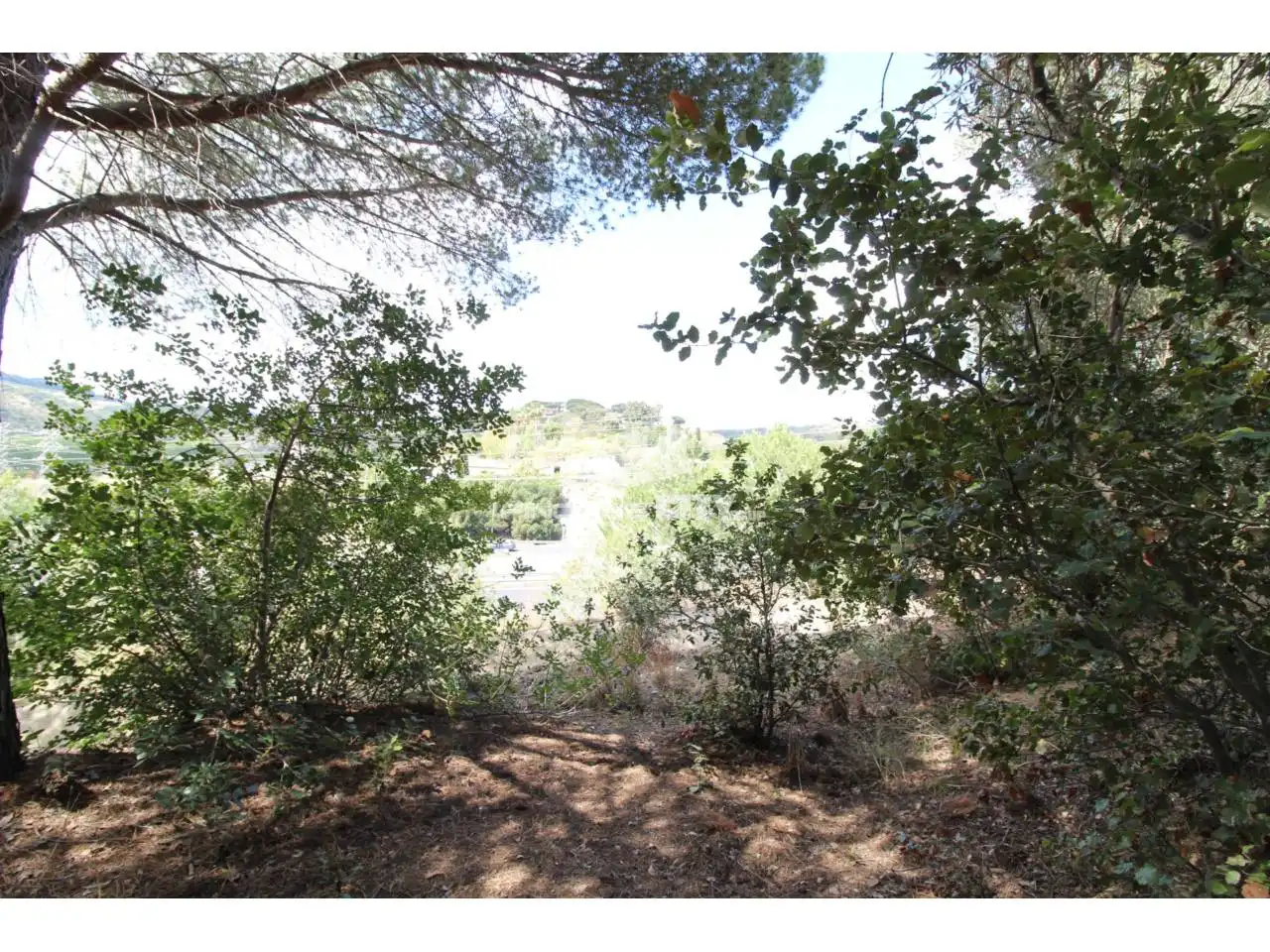 Residential land for sale in Avenida Àlbers, imagen 24