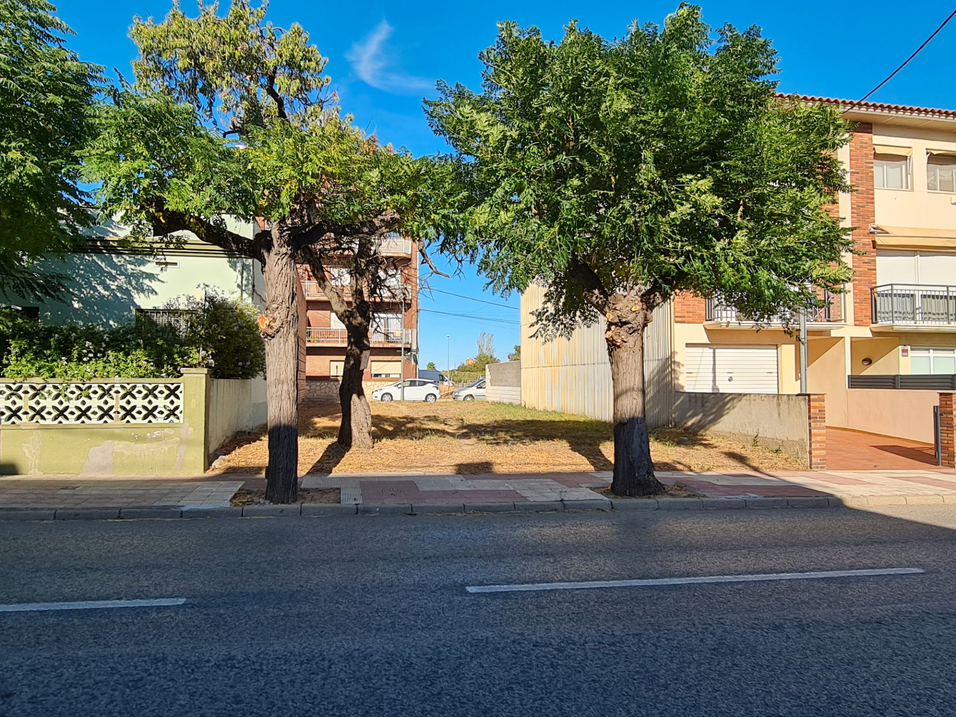 Exterior view of Residential for sale in Montbrió del Camp