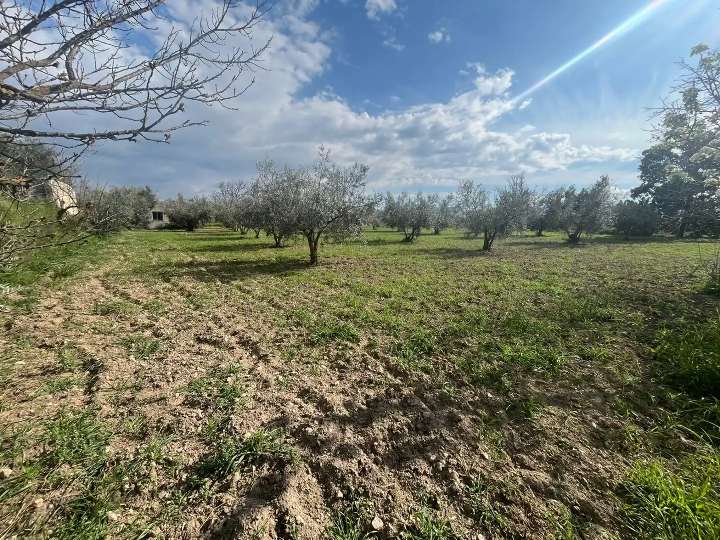 Land for sale in Dúrcal