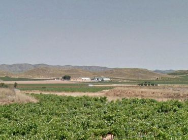 Terreno rustico in vendita a Jumilla