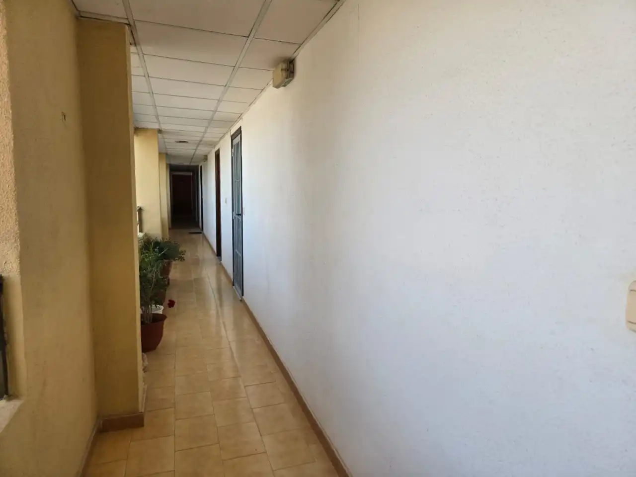 Estudio en venta en Torrevieja con Aire acondicionado, Calefacción y Terraza