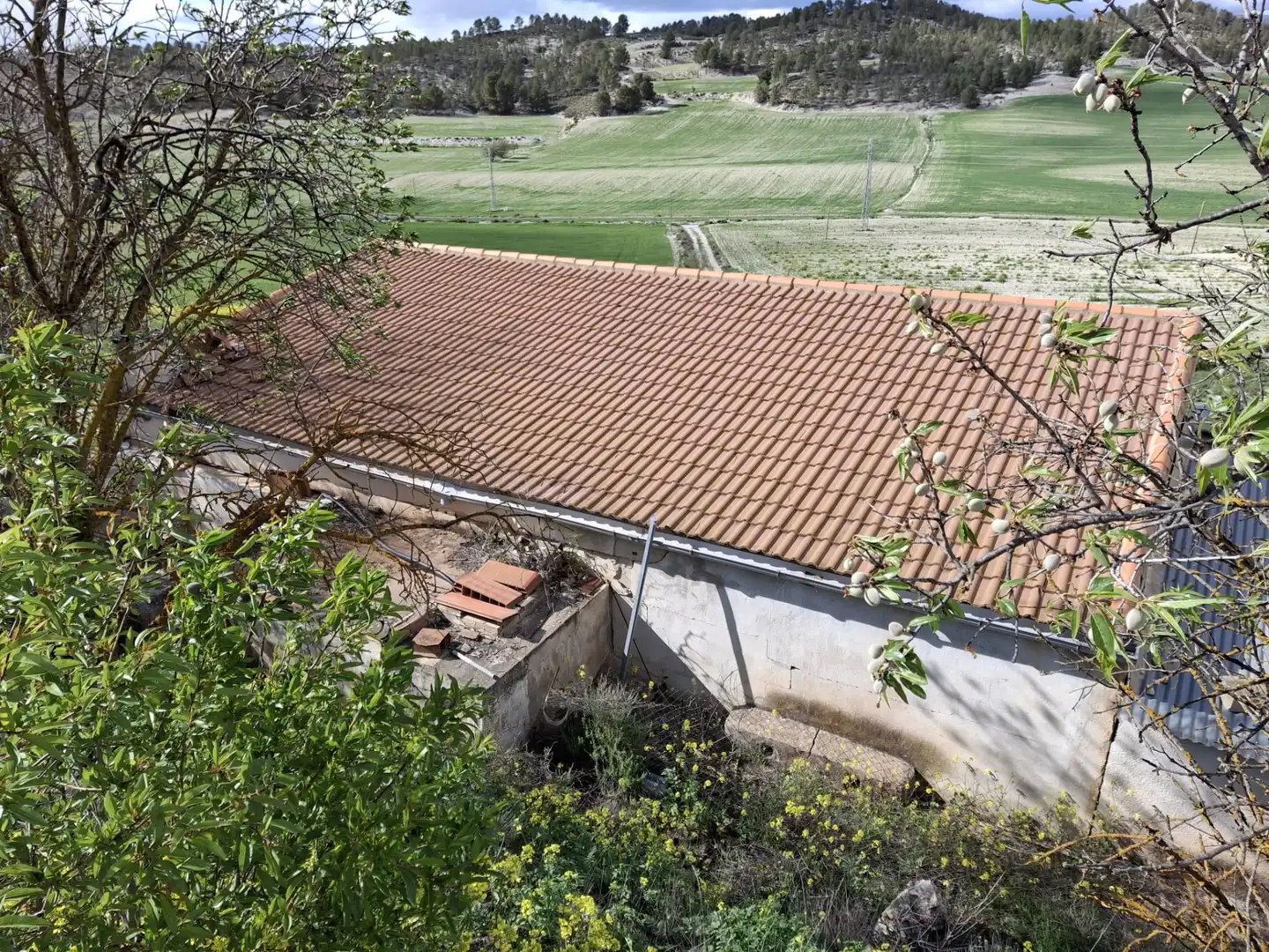 Terreno en venta en María