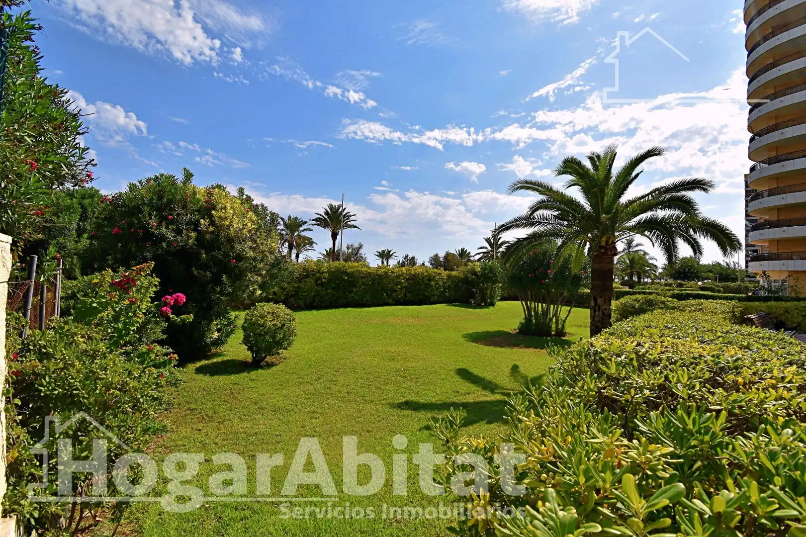 Appartamento con terrazza in vendita a Avenida Norte, imagen 4