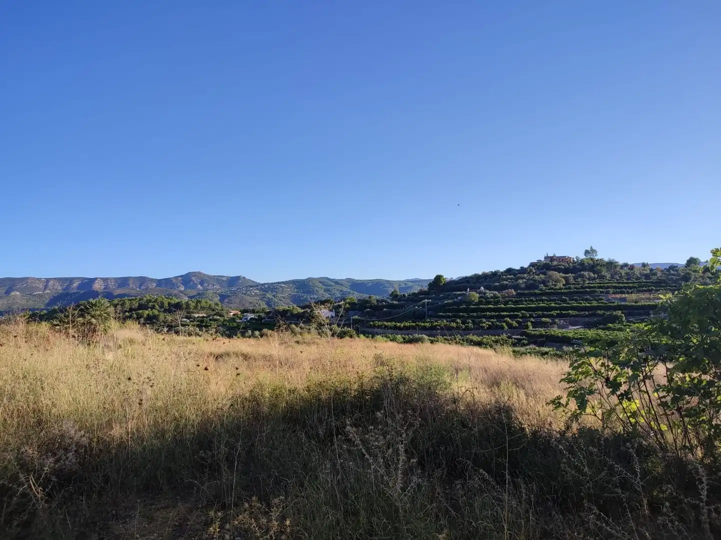 Terreny rústic en venda a Beniarbeig