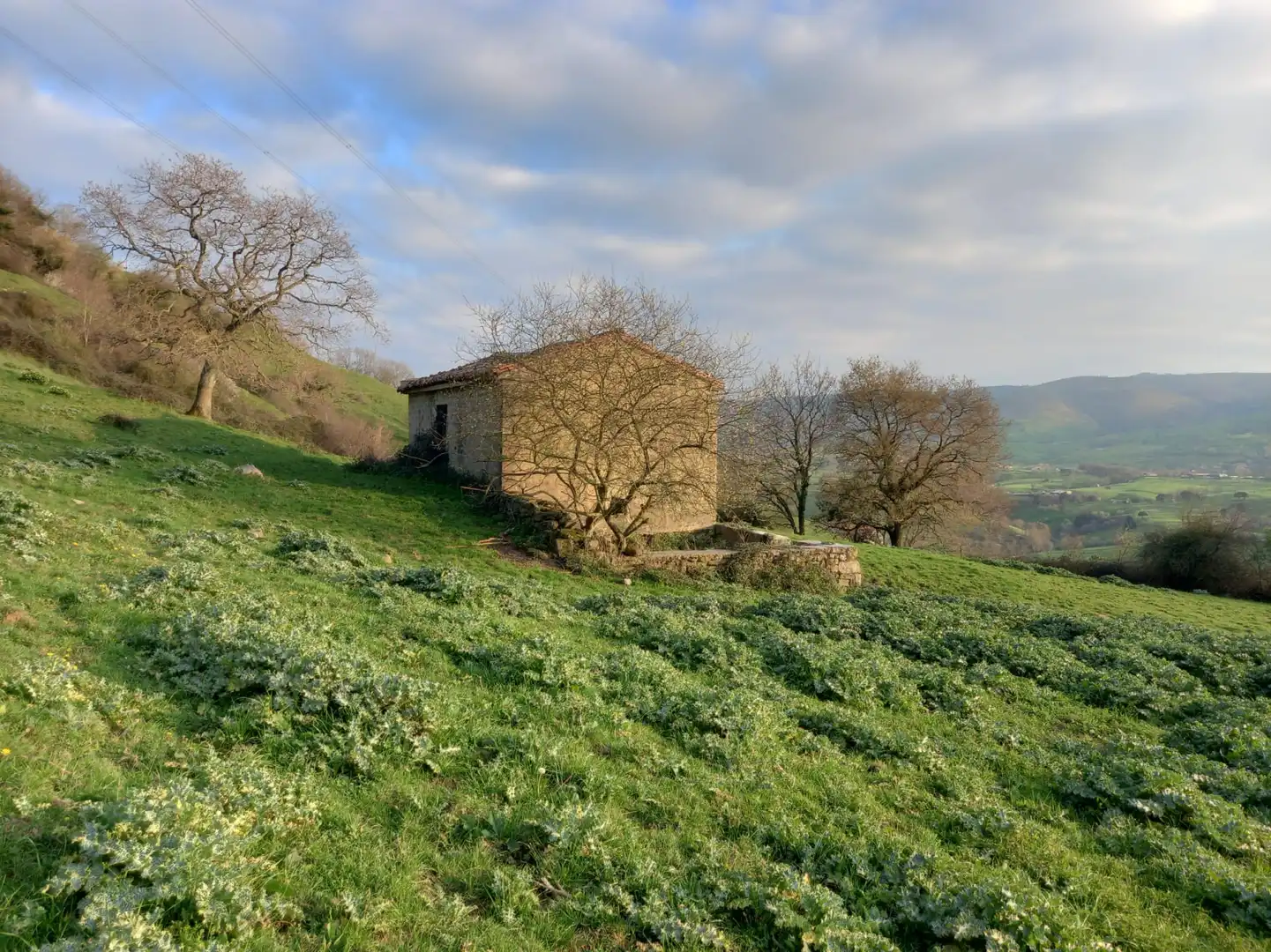 Land for sale in Villacarriedo