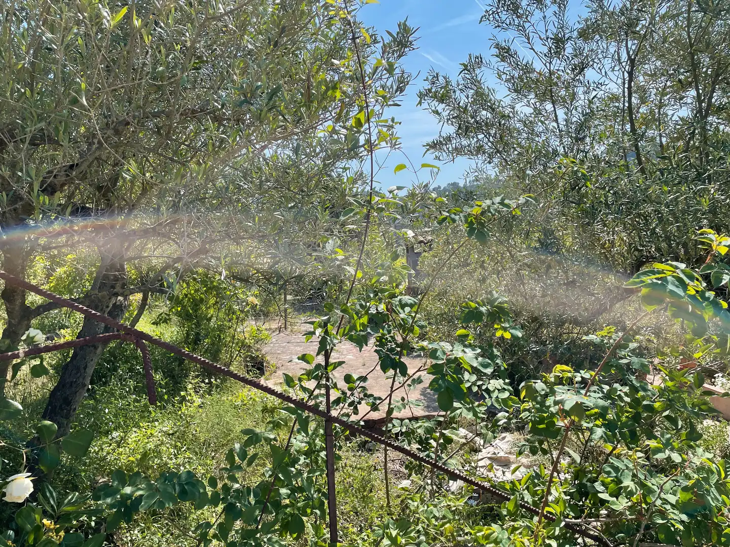 Residential land for sale in Carrer Raval Bassons 8, imagen 8
