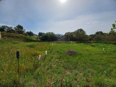 Terreno rustico in vendita a Ginestar