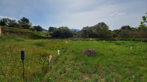 finca rustica