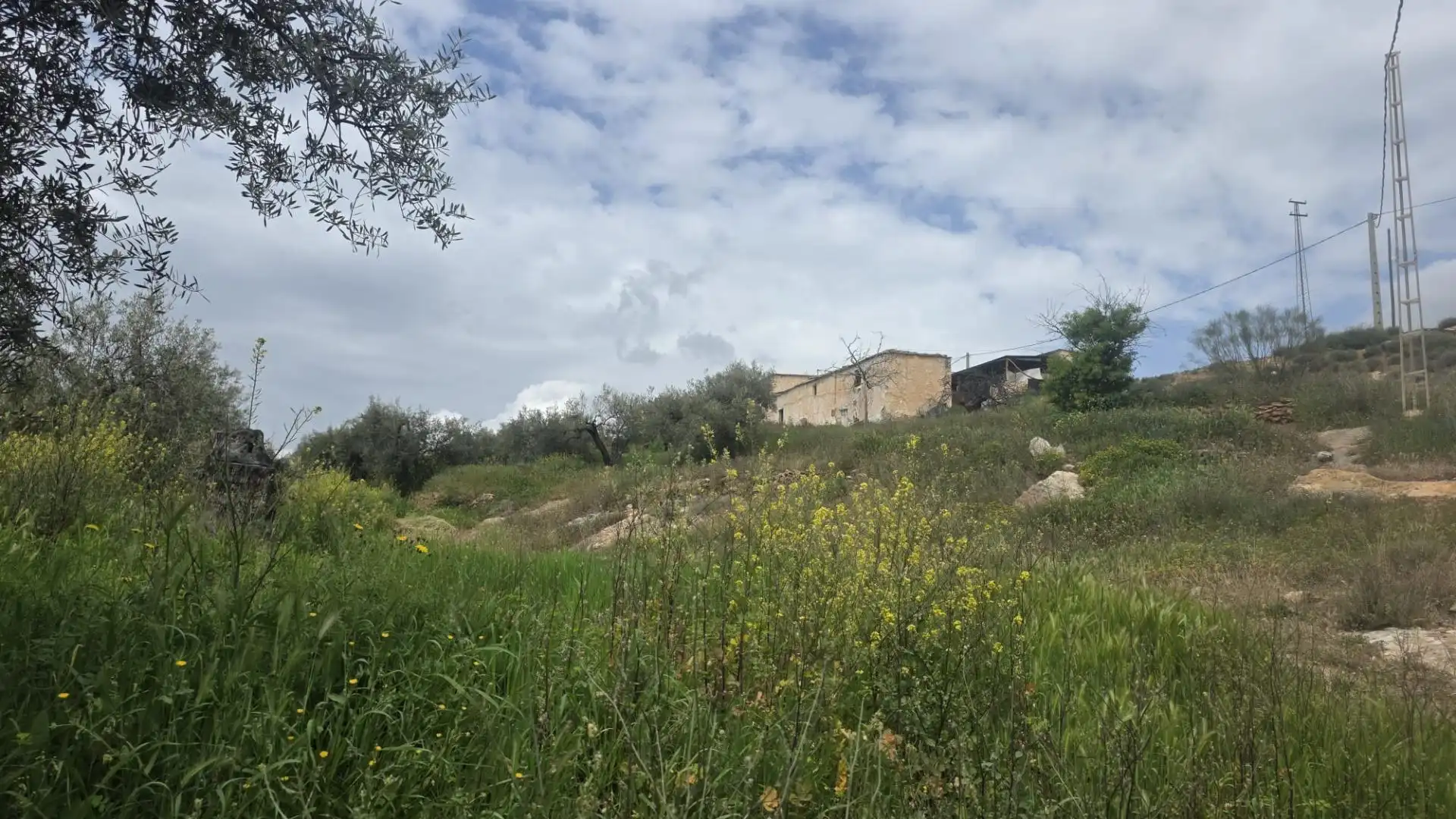 Country homes for sale in Laujar de Andarax