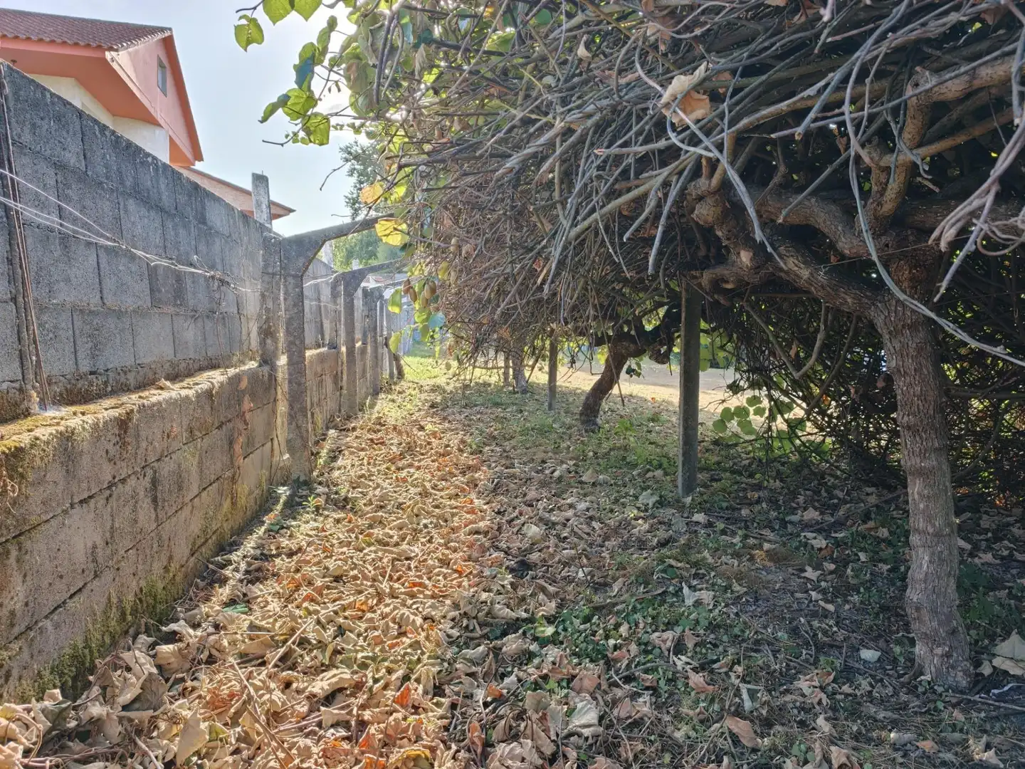 Residencial en venda en Nigrán