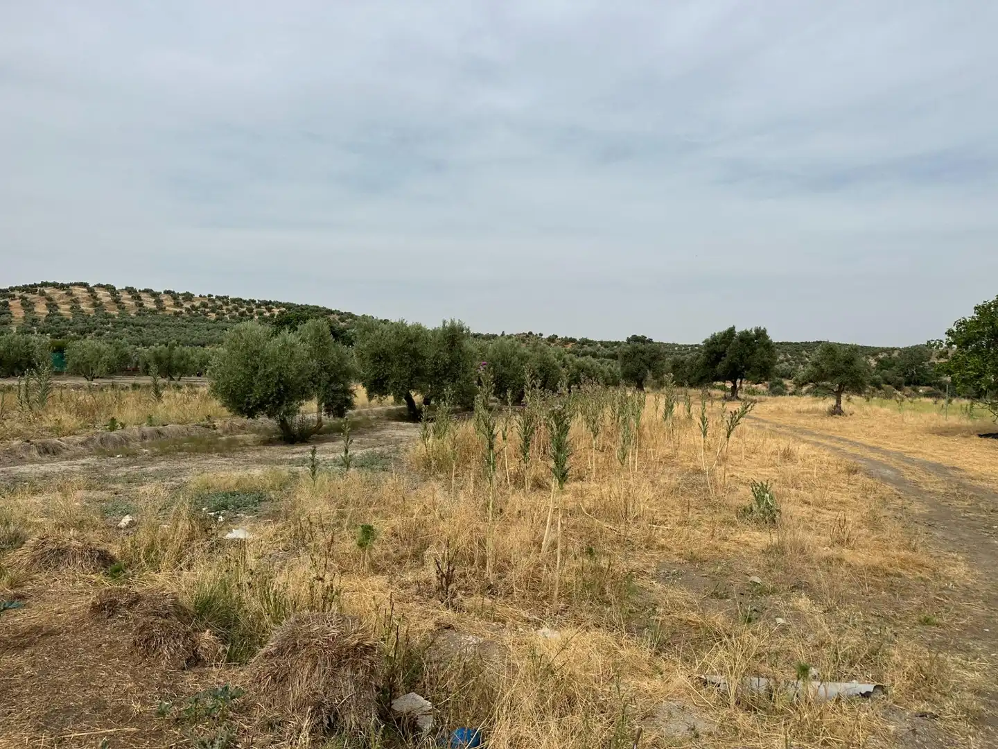 Wohnbaugrundstück zum Verkauf in Chimeneas, imagen 23