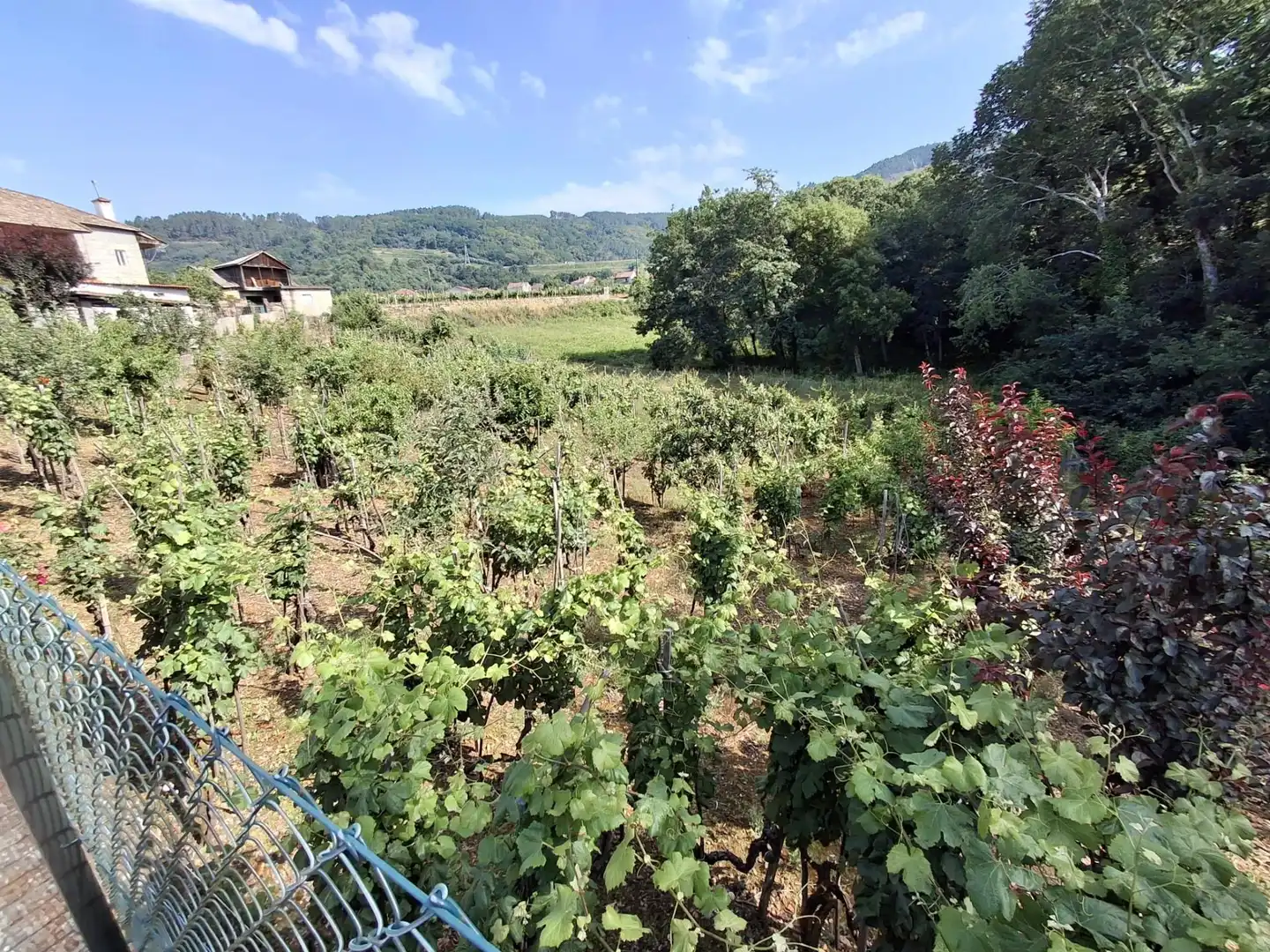Casa o chalet en venta en Cenlle con Calefacción, Jardín privado y Terraza