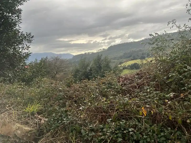 Terreno rustico in vendita a Selorio - Tornón, imagen 6