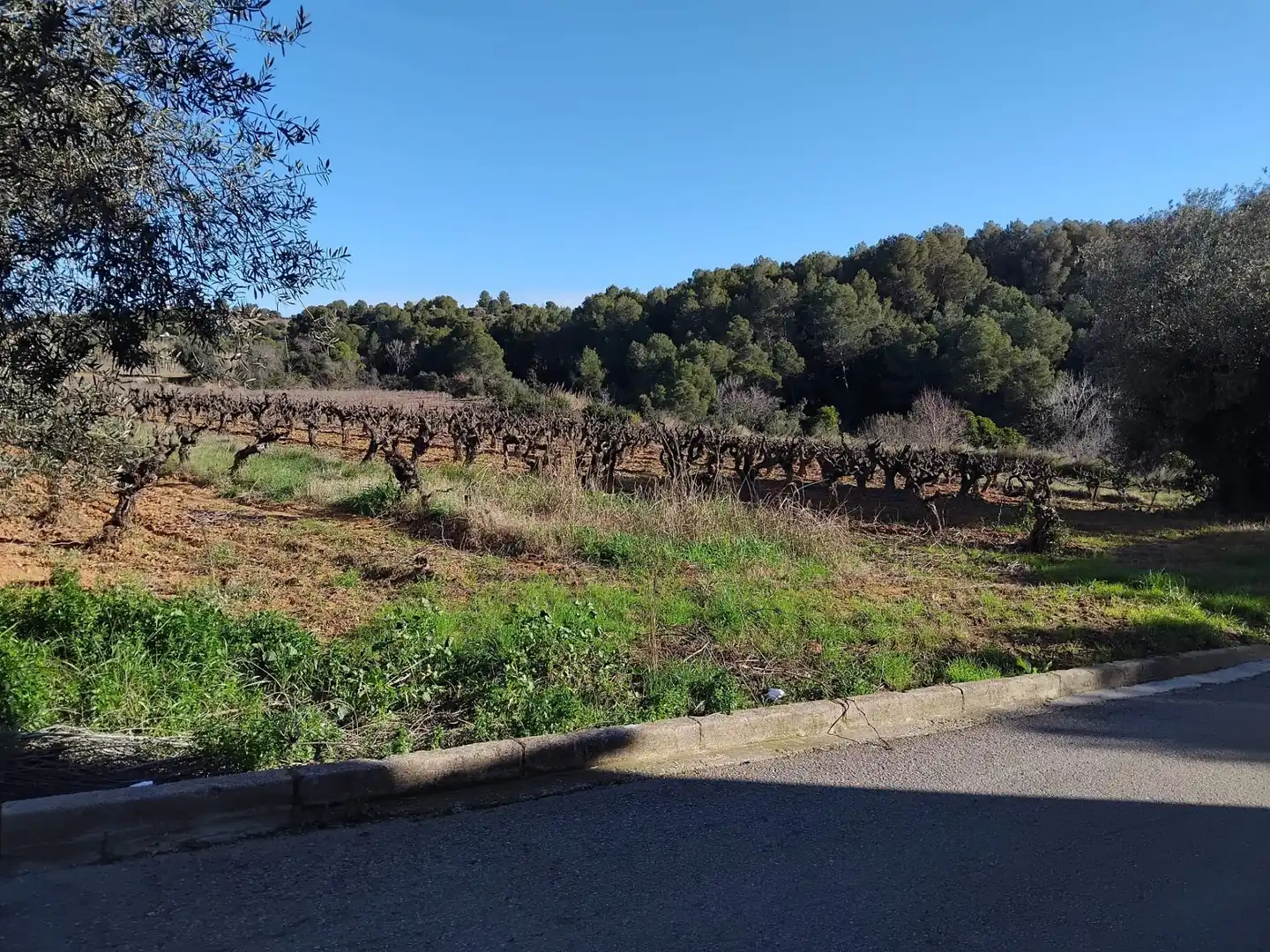 Residencial en venda a Sant Llorenç d'Hortons