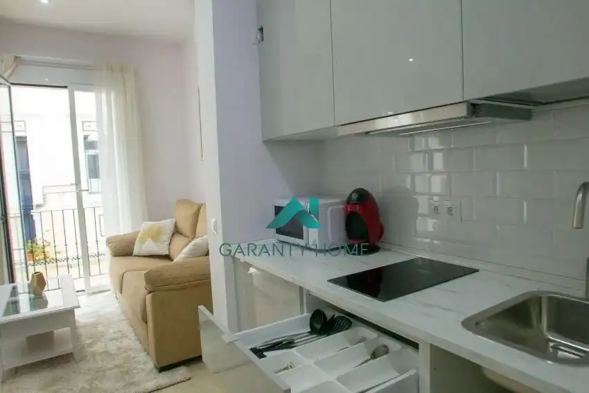 Appartement avec terrasse à louer à Casco Antiguo, imagen 14