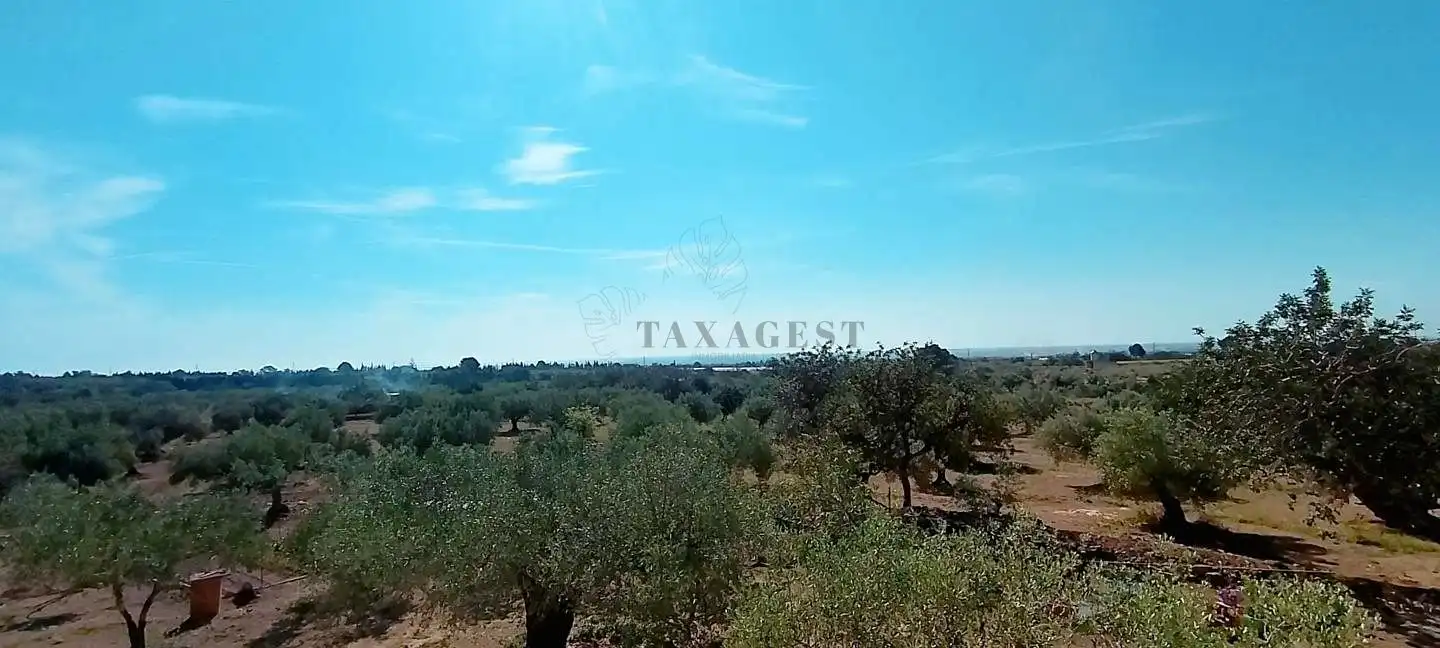Casa con jardín en venta en Camarles, imagen 43