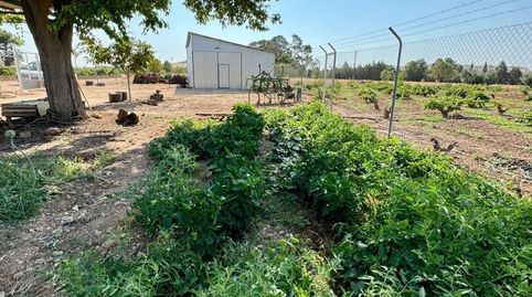 Finca Rúst. en venta en Nacional  IV., imatge 3